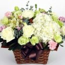 고령꽃집 이미지