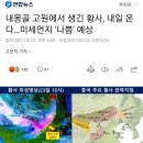 내몽골 고원에서 생긴 황사, 내일 온다…미세먼지 &#39;나쁨&#39; 예상 이미지