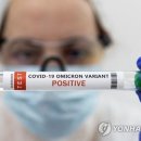 변이(미디어) 이미지