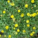 석굴암농장 이미지