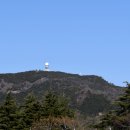 감천연방