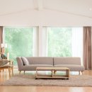 공간동백 이미지