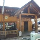 너구리의 피난처 이미지