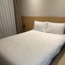 오션솔레뷰 호텔 | 영종도 애견동반 숙소 구웁뱃터 오션솔레뷰호텔 후기