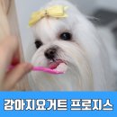 프로지스 이미지