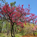 그레이스K2차 이미지