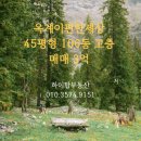 하이탑부동산공인중개사사무소 이미지