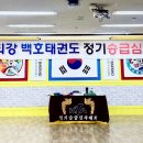 최강 백호 태권도장 이미지