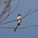 순라황토펜션 이미지