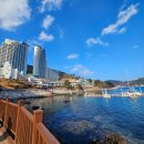 부대찌개 안방 | 소노캄거제 거제도여행 1일차