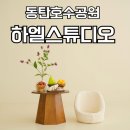 라크몽미소공인중개사사무소 | 동탄 하엘스튜디오 100일사진 돌사진 가족사진 아기사진 촬영 베이비스튜디오