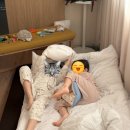 매지밀 딸기농장 | 원주 여행 아이와 가볼만한 곳 매지밀 딸기농장 딸기따기 체험 토끼와 고양이 먹이주기 내돈내산