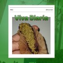 시드씨(주) | 63. 어떻게 온 세상이 다 두쫀쿠