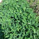 재선농장 이미지