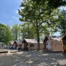 숲들내캠핑장 이미지