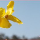 삼태기농장 이미지