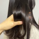 발산역 미용실 라몽드 헤어 태호원장님 클리닉 후기