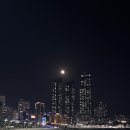 명성송이대게 | 웨스틴 조선 부산 까밀리아 주말 디너 후기 예약 뷔페메뉴 기념일데이트 외식장소