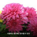 좋은생각 이미지