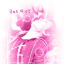 비윗미