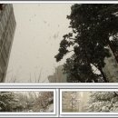 소사로3L 이미지