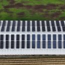 해맞이태양광발전소 이미지