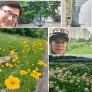 비너스당구장 이미지