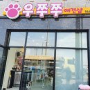 우쭈쭈 애견샵 이미지