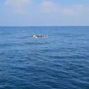 거제-거제-거제-비상-13 이미지