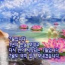 행복한선물 이미지