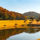 떼제베운영서울 네이버블로그