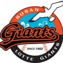 양산타이어백화점 이미지