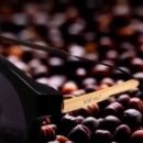 바바안경점 이미지