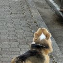 마린파크 동물병원 이미지