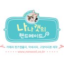 나나캣(nanacat) 티스토리