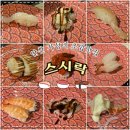 스시락 - 관악구 신림로 356 | 안산초밥맛집)다양한 롤부터 고퀄리티 초밥이 접시당1,500원?、[스시락]