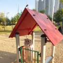 신상근린공원 이미지