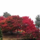 김동수한의원 이미지