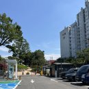 초안산근린공원 | 노원구 초안산수국공원 동산 주차장 정보, 서울에서 수국을 무료로?🫢