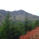 로몬드(Lomond)