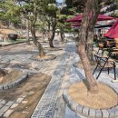 공개정원 | 화성 인조잔디 시공 비용 400㎡ 실제 가격 공개 (카페 정원 시공 후기)