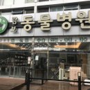 람보동물병원 네이버블로그