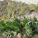 미륵산농장 이미지