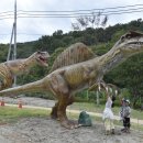 고산골 1 이미지