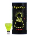 브라이트 이미지