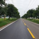 파평삼거리 이미지