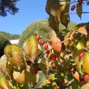 맛거리네 식당 이미지