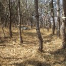 남구-125 이미지