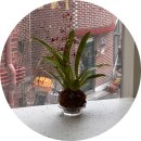 11545-03-34-40 | 이태원 TWL shop, 녹사평 가볼 만한 곳 감각적인 소품샵 티더블유엘