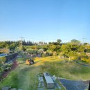 제주에산다면 | 단 하루 제주에 산다면, 완벽한 &#39;청수풀&#39;에서